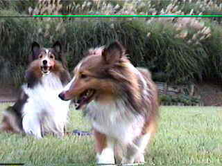 �u����A�킽�����E�E�E�v