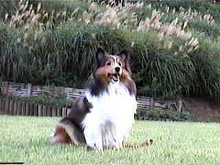 �u�͂��|�[�Y��v