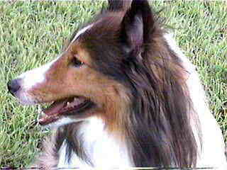 �s����������B�B�B