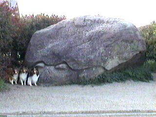 �܂邿��񂸂Ɣ�ׂĂ݂ĂˁI