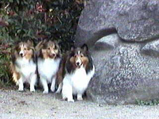 �h�L�h�L�I