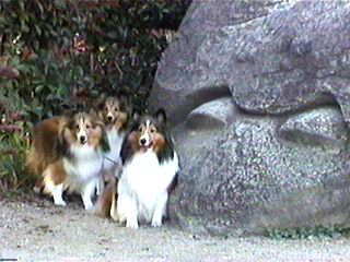 �ɂ������