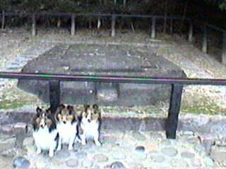 �܂邿��񂸁A����[�B