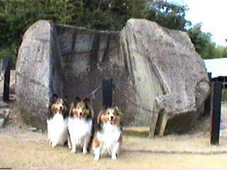 �悭�ł��܂����B