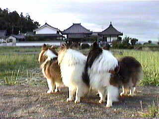 �F����A���ł��I