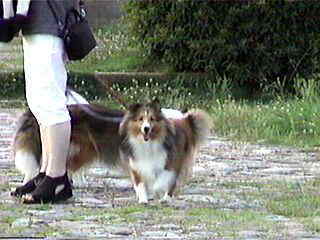 �������L���ˁ�