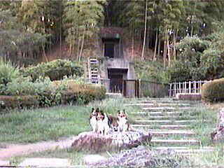 ���Ə������ˁI