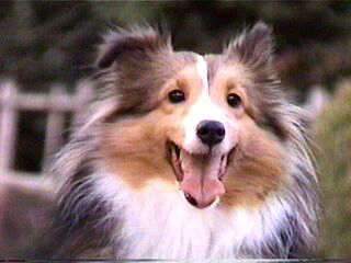 �ɂ������