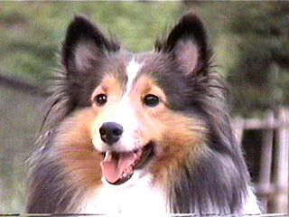 �ꂨ����s����������E�E�E