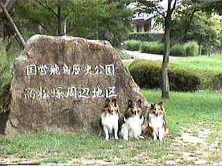 �����̓�����ł��B