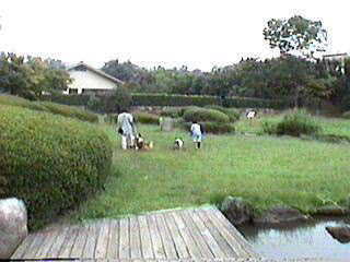 �R������̒r�ł��B�B�B