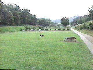 �܂邪�����܂����H