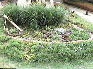 �򒹕��Ƃł������܂��傤���H