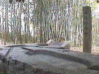 ���Α����猩���}