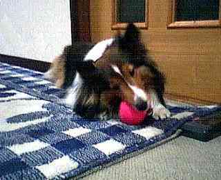 �|�[����D��