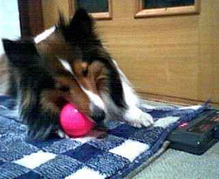 �{�[����D��