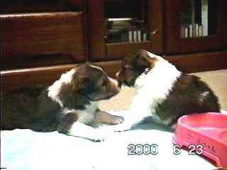 �o�����ƕ���