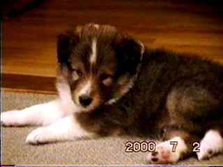 �o���������