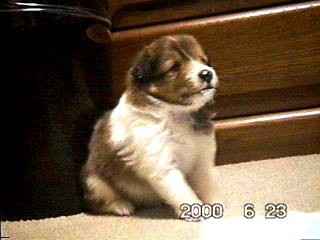 �������