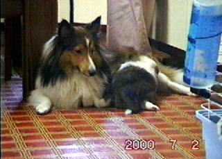 ���������`��