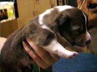 �o���������