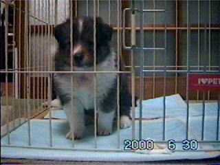 �o���������