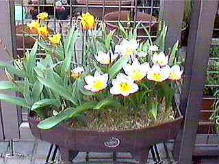 ���͋C�S�R�Ⴂ�܂��B(��)