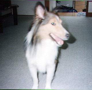 �ł��n�c�ŏL���I