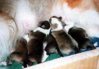 ����ς肨���ς�