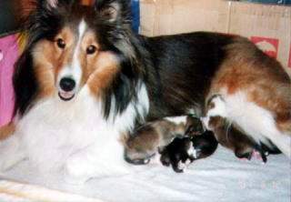 ����΂�܂邿���