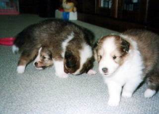 ��`���g���l�����`�I