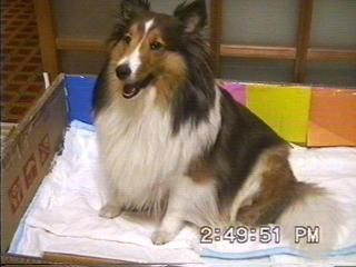 �܂邿���o�Y01