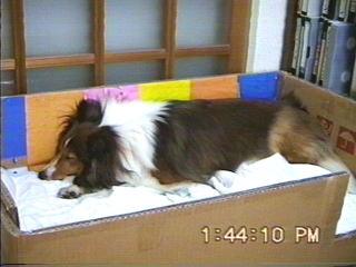 �܂邿���o�Y02