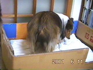 �܂邿���o�Y03