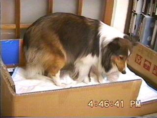 �܂邿���o�Y04