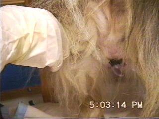 �܂邿���o�Y05