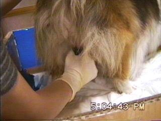 �܂邿���o�Y06