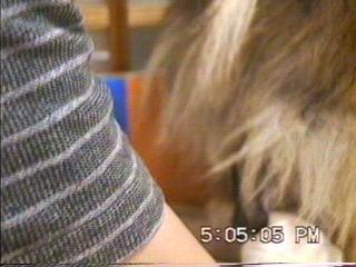 �܂邿���o�Y07