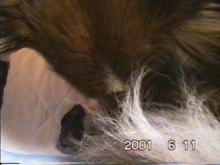 �܂邿���o�Y08