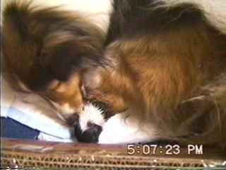 �܂邿���o�Y09