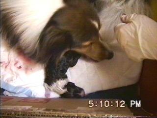 �܂邿���o�Y10