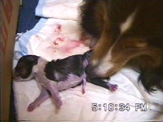 �܂邿���o�Y11