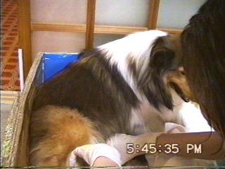 �܂邿���o�Y12