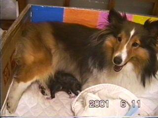 �܂邿���o�Y14