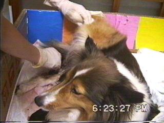 �܂邿���o�Y15