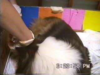 �܂邿���o�Y16