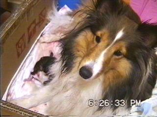 �܂邿���o�Y17