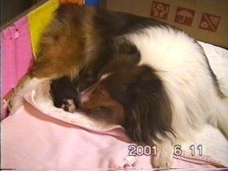 �܂邿���o�Y18