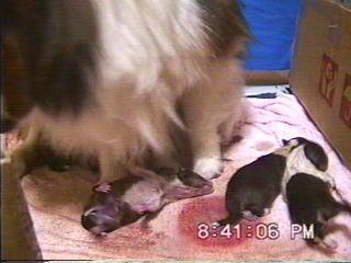 �܂邿���o�Y21