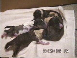 �܂邿���o�Y22